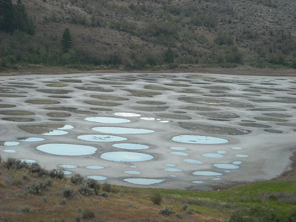 Spotted Lake close-up
